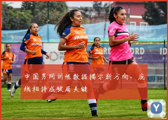 中国男网训练数据揭示新方向，底线相持成破局关键