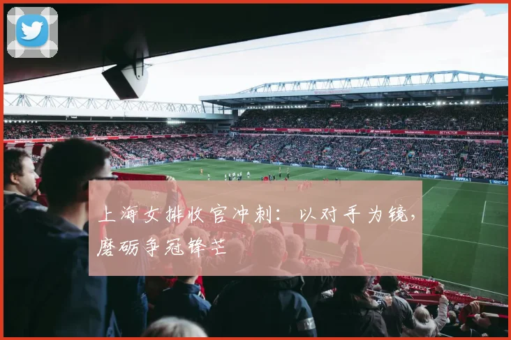 上海女排收官冲刺：以对手为镜，磨砺争冠锋芒