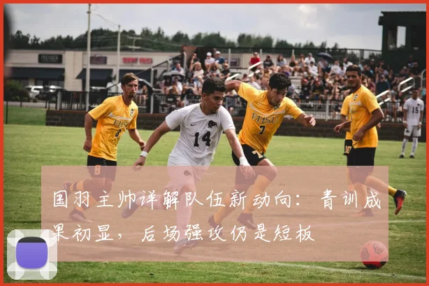 国羽主帅详解队伍新动向：青训成果初显，后场强攻仍是短板